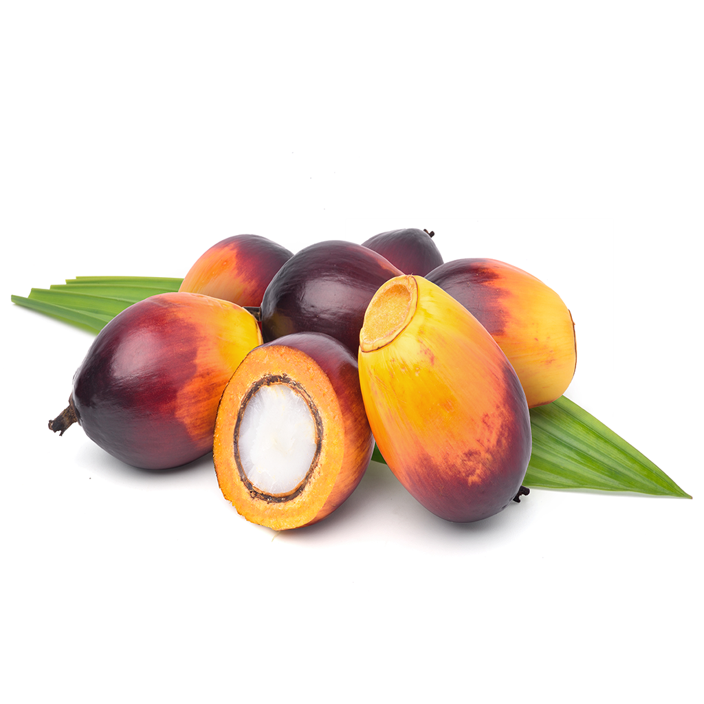Palm oil