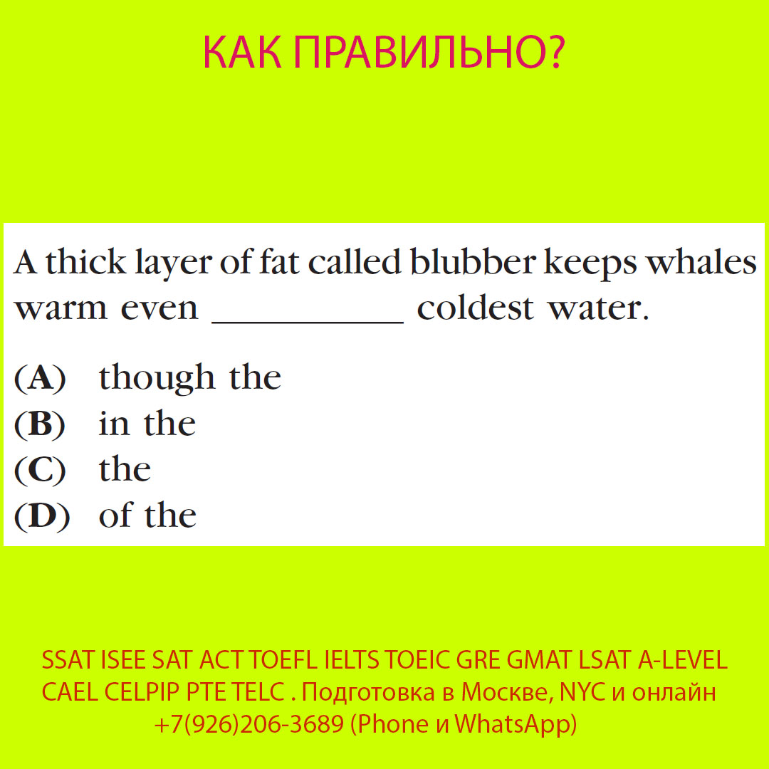 Подготовка к SSAT ISEE SAT ACT TOEFL IELTS TOEIC GRE GMAT LSAT A-LEVEL BEC CAEL CELPIP PTE TELC