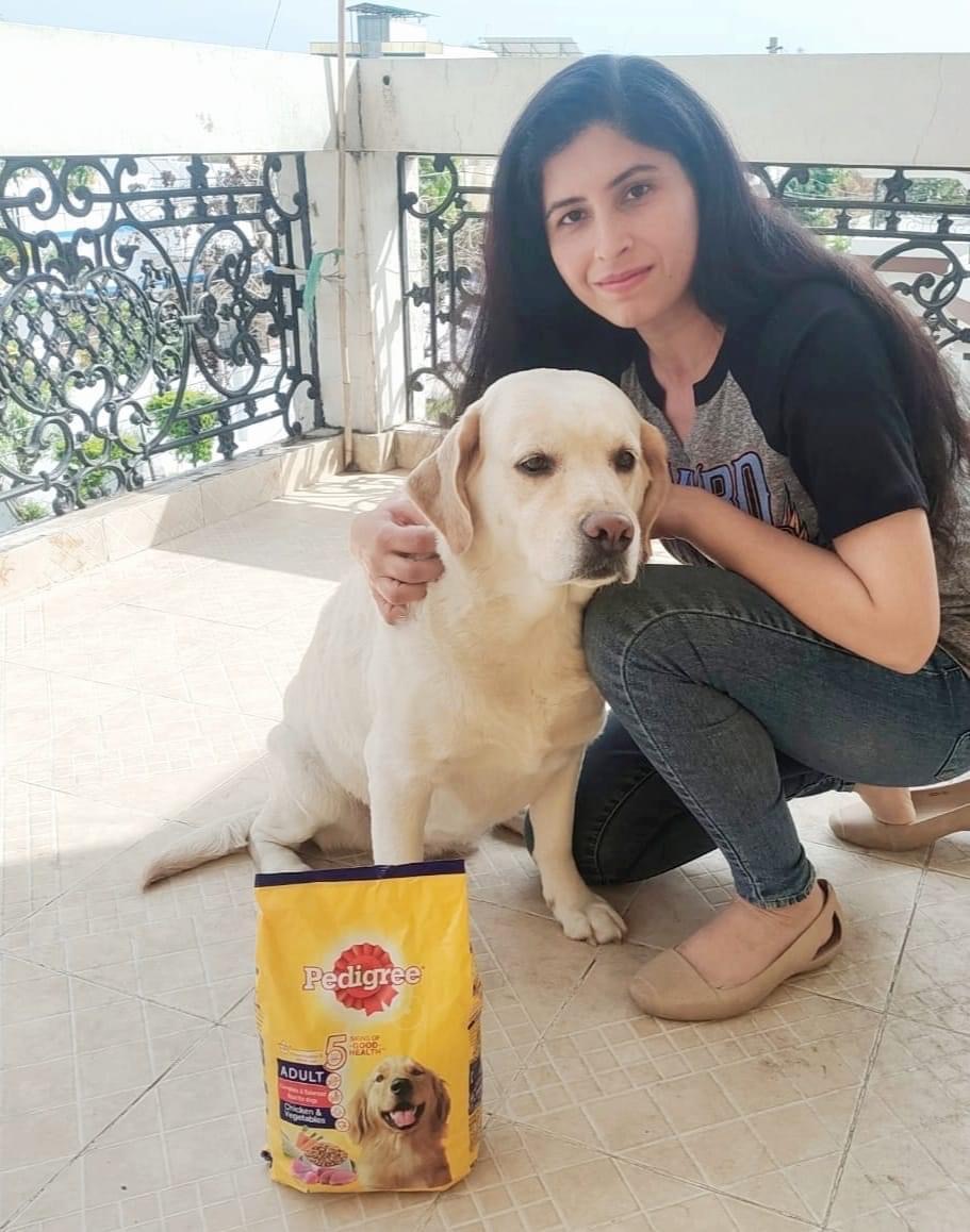 DOG and animal foods