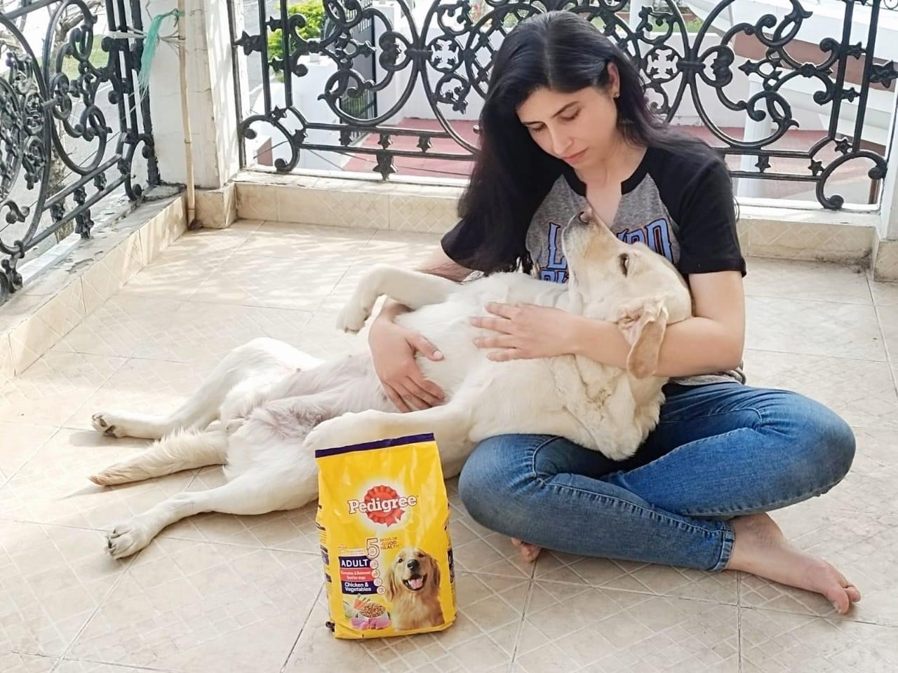 DOG and animal foods