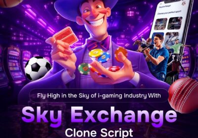 Skyexchange-clone-script